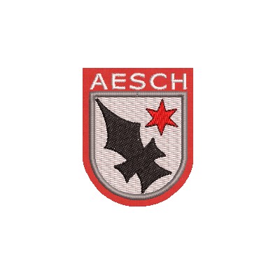Aufnäher Wappen Gemeinde Aesch midi