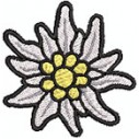 Edelweiss blüte extra