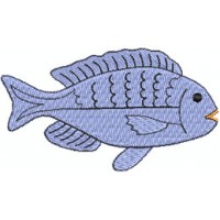 Fisch 1