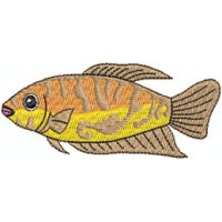 Fisch 3