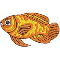 Fisch 4